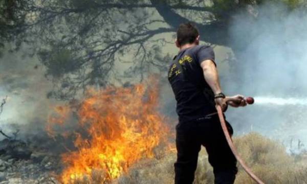 Πυρκαγιά στο Κουρτάκι - Σε ύφεση η φωτιά στο δάσος Βασιλικής
