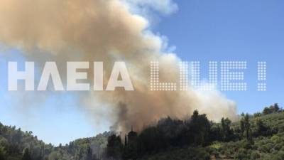 Σε εξέλιξη πυρκαγιά σε δασική έκταση στην Αλφειούσα Ηλείας