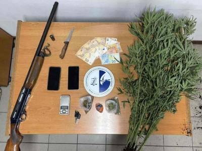 Χασισοφυτεία με 267 δενδρύλλια μεταξύ Πολιανής και Ακόβου