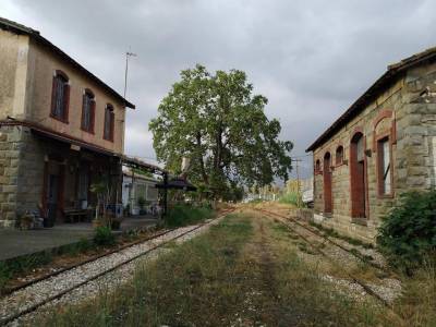 Λάσκαρης για το σιδηροδρομικό σταθμό Μεσσήνης