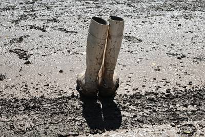 Ποια πρέπει να είναι η διαχείριση των μεταπλημμυρισμένων οπωρώνων