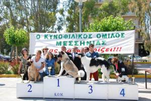 Καλλιστεία σκύλων σήμερα στην Καλαμάτα