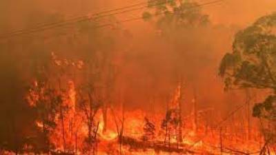 Ιταλία: Από την αρχή του χρόνου κάηκαν 1.580.000 στρέμματα δασικών εκτάσεων στη χώρα