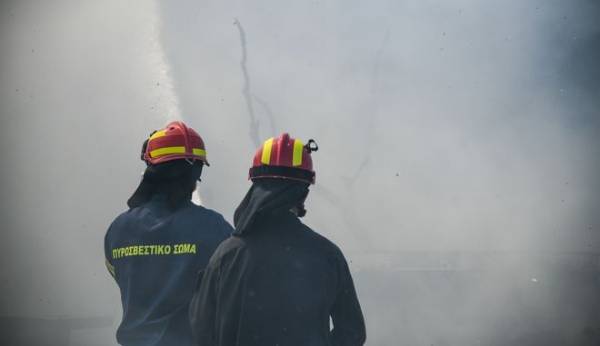 Σε εξέλιξη πυρκαγιά σε δασική έκταση στο Χρυσοβίτσι Αρκαδίας