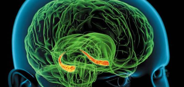 Νέα έρευνα για τη σοβαρή ψυχαναγκαστική διαταραχή: Αποτελεσματική η σε βάθος ηλεκτρική διέγερση του εγκεφάλου
