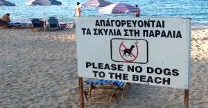 Να μην απαγορευτούν τα ζώα συντροφιάς στις παραλίες της Δυτικής Μάνης ζητούν οι φιλόζωοι