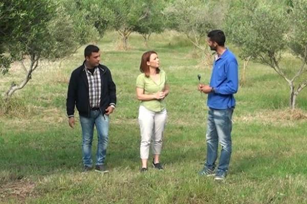 &quot;Εύφορη Γη&quot;: Στην Πελοπόννησο οι καλύτεροι νέοι αγρότες της Ευρώπης (βίντεο)