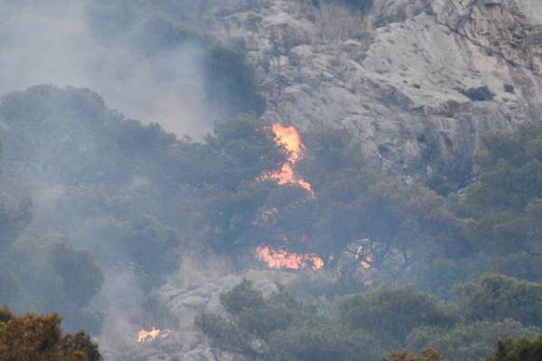 Πυρκαγιές σε δασική έκταση στην Ραφήνα και στον Βαρνάβα Αττικής