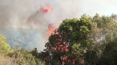 Πύρινα μέτωπα απειλούν τον δρυμό του Παρνασσού - Μήνυμα από το 112 για Ιτέα