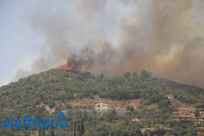 Αποτίμηση παρεμβάσεων στις πυρόπληκτες περιοχές από την Περιφέρεια Πελοποννήσου