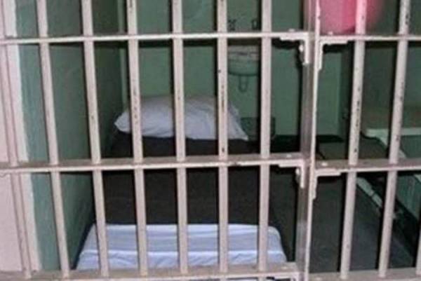 Προφυλάκιση 37χρονου για τη χασισοφυτεία στην Αμφεια 
