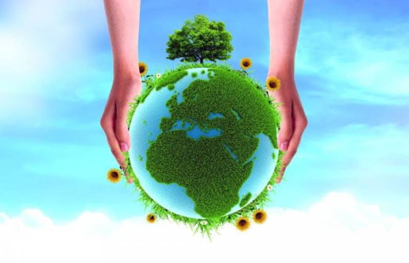 Οικολογική Κίνηση Καλαμάτας: 1972 - 2020, 48 Παγκόσμιες Ημέρες Περιβάλλοντος