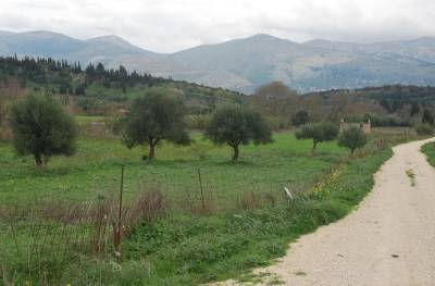 Μπλόκο σε οικόπεδα 4 στρ. εκτός σχεδίου - Βουλευτές, μηχανικοί, μεσίτες και ιδιοκτήτες απαιτούν λύση