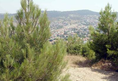 Απαιτούνται πρακτικές και βιώσιμες λύσεις