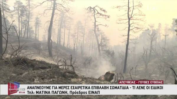 Παγώνη: Τα σωματίδια είναι ό,τι χειρότερο για το αναπνευστικό μας σύστημα (Βίντεο)