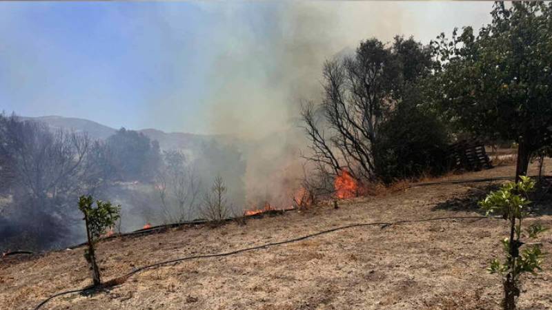 Πυρκαγιά σε χαμηλή βλάστηση στην Ελλοπία Βοιωτίας