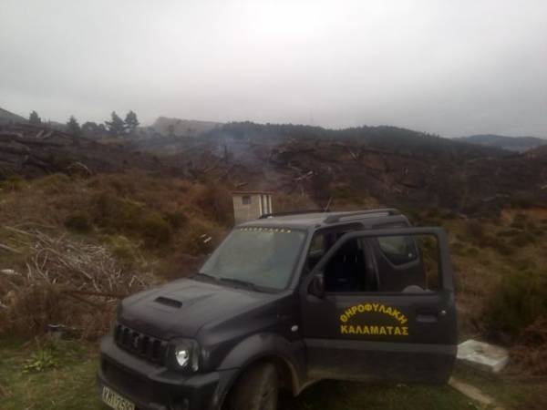 Ο Κυνηγετικός Σύλλογος Καλαμάτας βοήθησε στην κατάσβεση της πυρκαγιάς στον Ταΰγετο