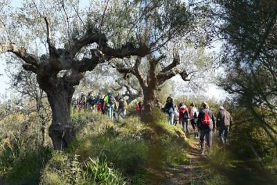 Πεζοπορία του ΕΟΣ Καλαμάτας στην Αρχαία Θουρία