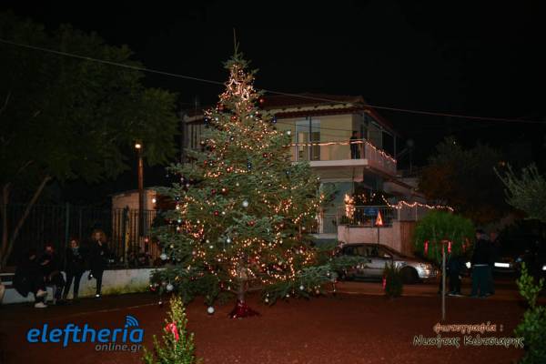 Εορταστικό κλίμα στη φωταγώγηση του χριστουγεννιάτικου δέντρου στο Φραγκοπήγαδο (φωτογραφίες)