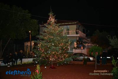 Εορταστικό κλίμα στη φωταγώγηση του χριστουγεννιάτικου δέντρου στο Φραγκοπήγαδο (φωτογραφίες)