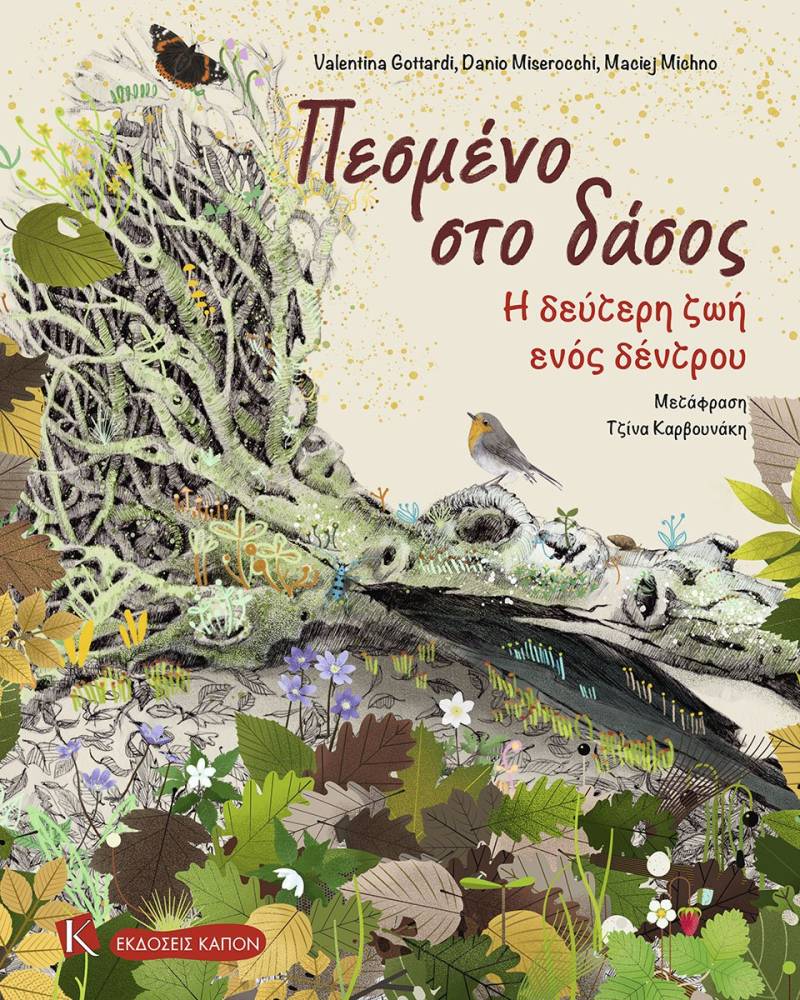 «Πεσμένο στο δάσος - Η δεύτερη ζωή ενός δέντρου»