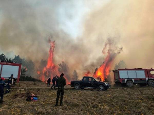Πιερία: Παρθένο δάσος κατακαίει η φωτιά για τρεις ημέρες (βίντεο)
