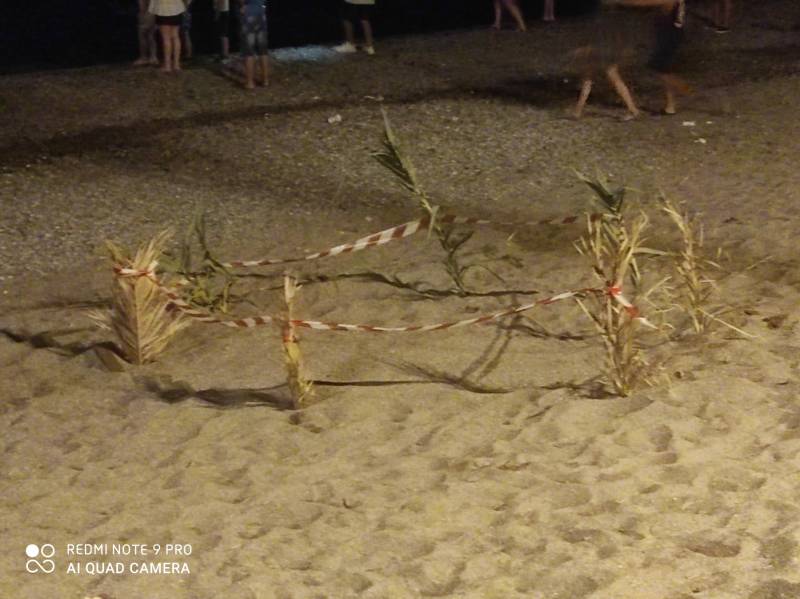 Χελώνα καρέτα καρέτα γέννησε στην παραλία της Καλαμάτας