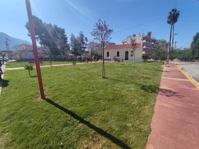 Φυτοπροστασία χώρων πρασίνου υλοποιεί ο Δήμος Καλαμάτας