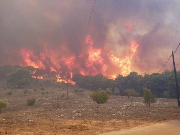 Χιλιάδες στρέμματα έκαψαν οι πυρκαγιές σε Ζάκυνθο και Λουτράκι, όπως δείχνει ο δορυφόρος