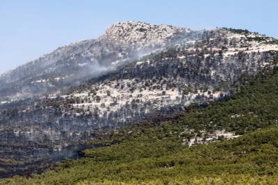 Το 37% των δασών της Αττικής κάηκε τα 8 τελευταία χρόνια