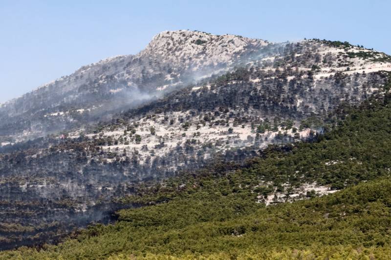 Το 37% των δασών της Αττικής κάηκε τα 8 τελευταία χρόνια