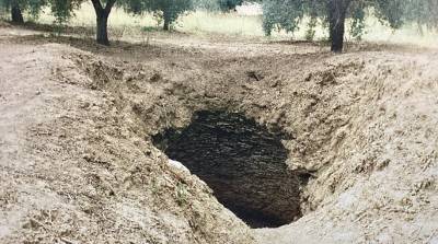 Το Κορυφάσιο