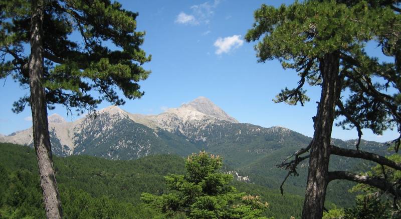 Καλοκαιρινή κατασκήνωση στον Ταΰγετο από την Ένωση Ελλήνων Φυσικών