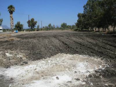 Απομάκρυνση φρέσκιας λυματολάσπης από βιολογικό της Καλαμάτας - Στη ΜΟΛΑΚ η παλιά