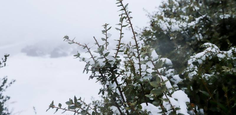 Ιωάννινα: Πυκνό χιόνι στα ορεινά της Ηπείρου