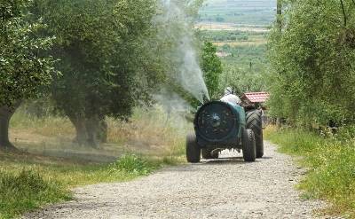 Μεσσηνία: Σε ποιες περιοχές θα γίνουν σήμερα ψεκασμοί δακοκτονίας