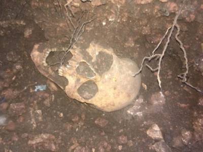 Μυστήριο με θαμμένα οστά στη Νήσο Πρώτη