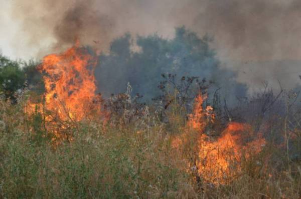 Πυρκαγιά σε αγροτοδασική έκταση στον Πισσώνα Ευβοίας