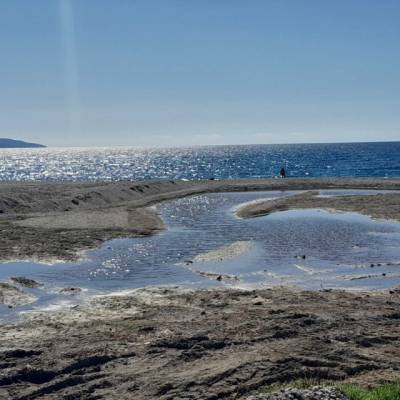 Εικόνα ρύπανσης στις εκβολές του Νέδοντα