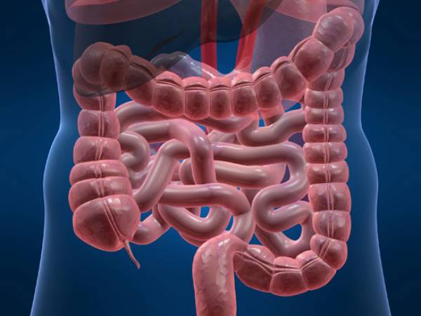 Ενημέρωση για νόσο Crohn και ελκώδη κολίτιδα στην Καλαμάτα