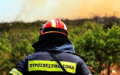 Μεγάλη πυρκαγιά στο Δάσος της Βασιλικής