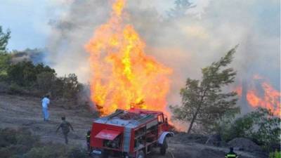 Υπό έλεγχο η πυρκαγιά στη Σαλαμίνα