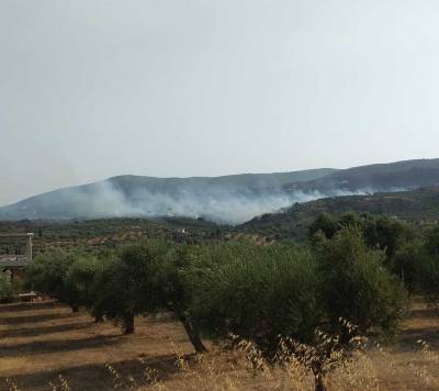Μεσσηνία: Ανησυχία από νέα αναζωπύρωση στα Λιβαδάκια