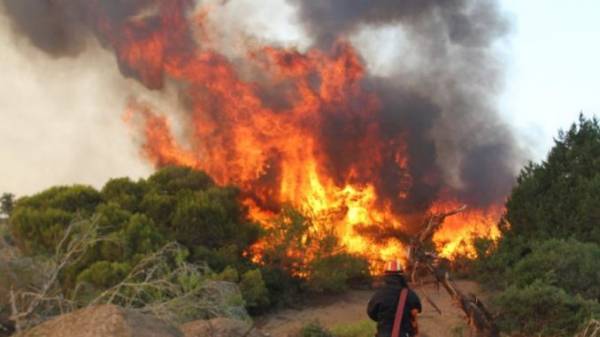 Λασίθι: Σε ύφεση η πυρκαγιά στην Ανατολή Ιεράπετρας