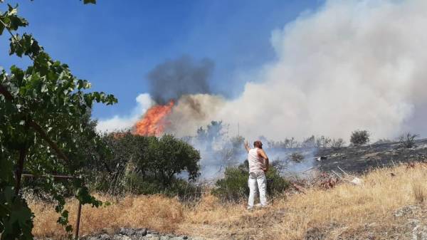 Κύπρος: Σύλληψη 67χρονου για τη μεγάλη πυρκαγιά στον Αρακαπά Λεμεσού