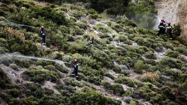Μεσσηνία: Υπό έλεγχο η πυρκαγιά στην Υάμεια