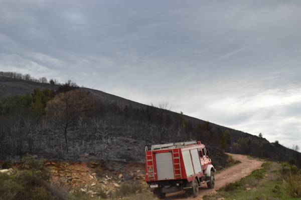 Κάηκαν 15 στρέμματα στην Καζάρμα