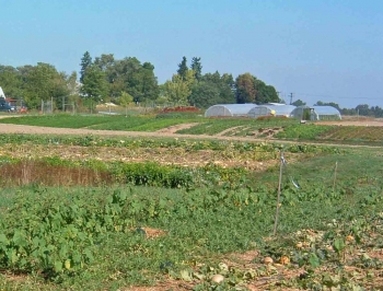 Φορολογία και στα αγροτεμάχια στο πλαίσιο του ενιαίου φόρου ακινήτων