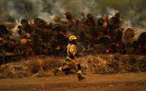 Σβήστηκαν οι πυρκαγιές που άφησαν πίσω τους 131 νεκρούς στη Χιλή