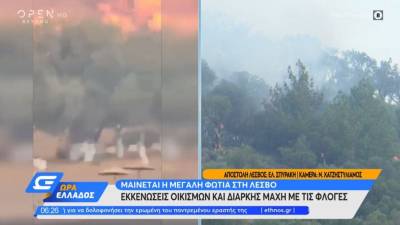 Μαίνονται οι φωτιές σε Ηλεία, Έβρο και Λέσβο (Βίντεο)